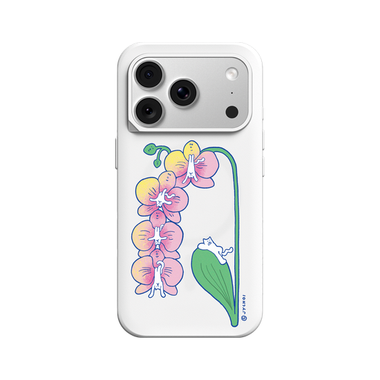 Catorchid