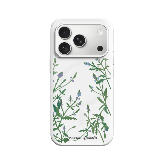 Verbena