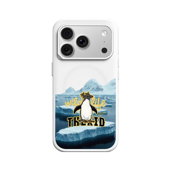 Macaroni Penguin