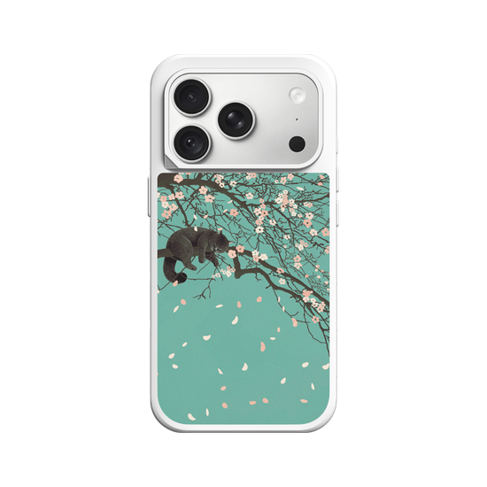 Cherry Blossom
