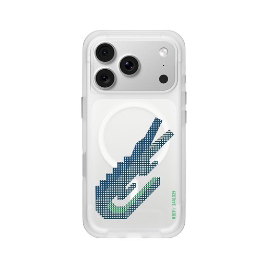 Crocodile américain