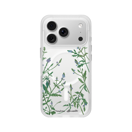 Verbena