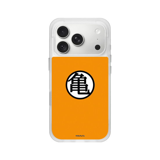 龜