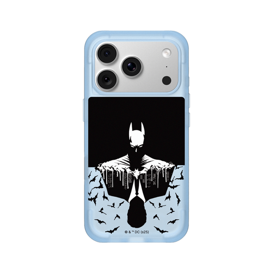 Batman - Bruce/Batman