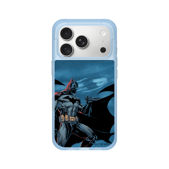 Batman - Fledermaus in der Nacht