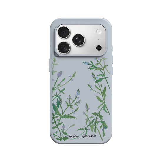 Verbena