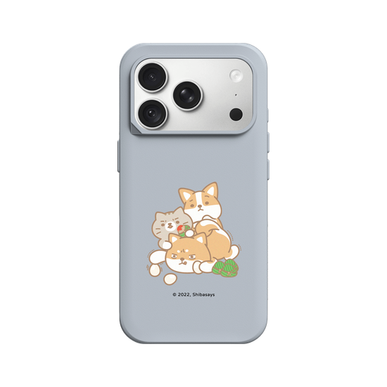 Shiba onigiri