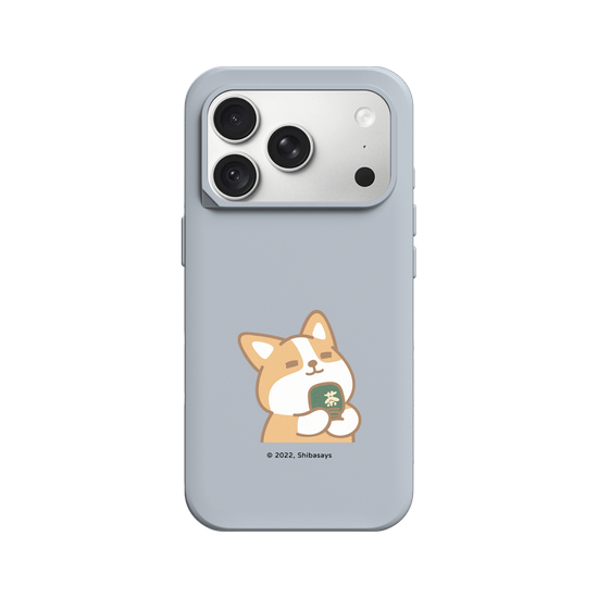 Corgi matcha