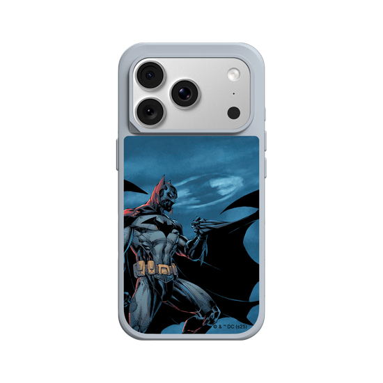 Batman - Bat in the night