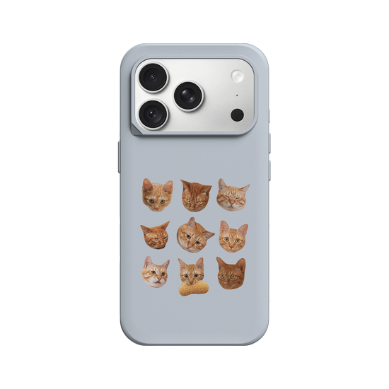 Shubingcat Grid