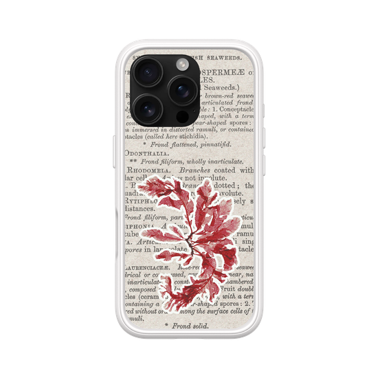 Herbaria Textures