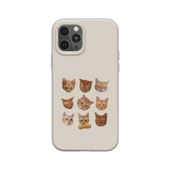 Shubingcat Grid