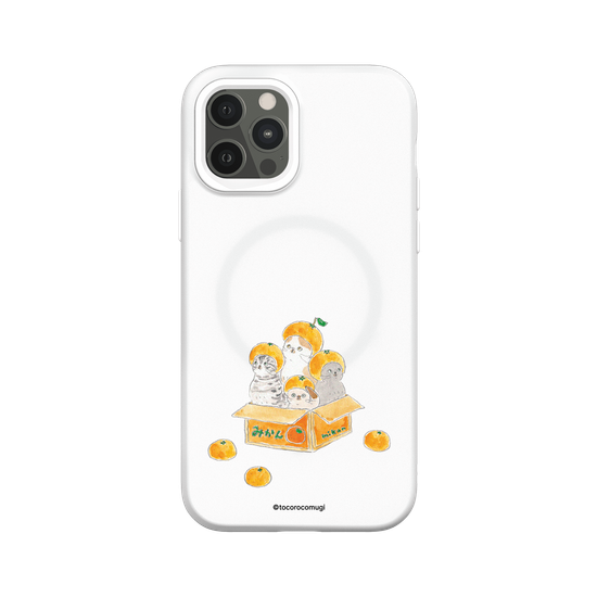 Cat's Mikan Box