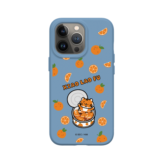 Canned mandarin oranges
