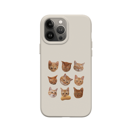 Shubingcat Grid