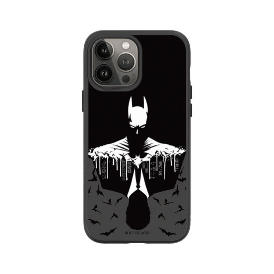 Batman - Bruce/Batman