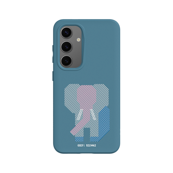 Asiatic Elephant