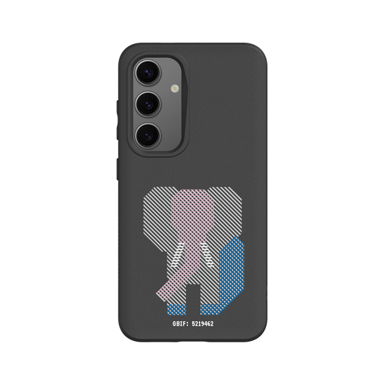 Asiatic Elephant