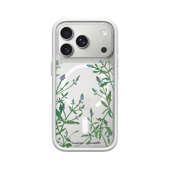 Verbena