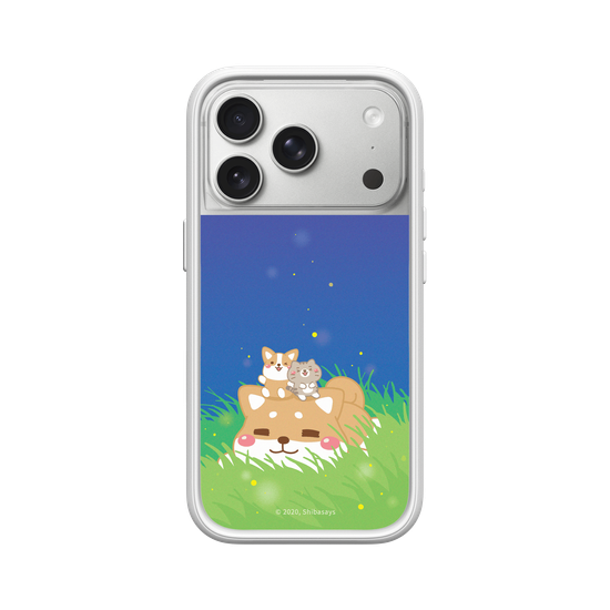 Shiba on the Field