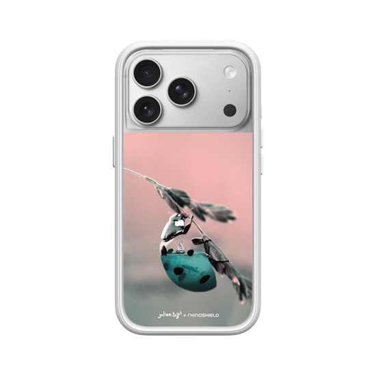 LadyBug