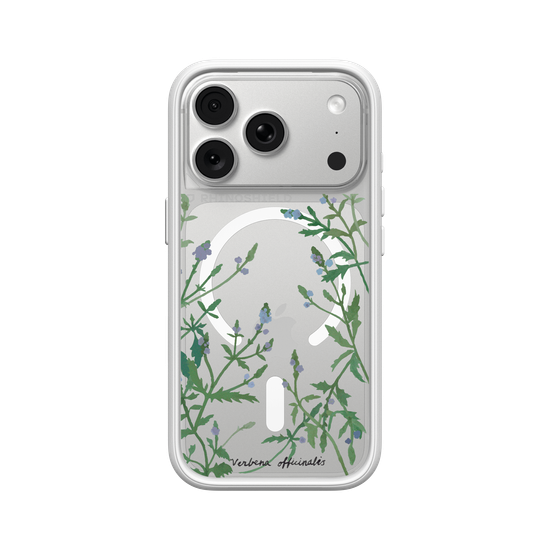 Verbena