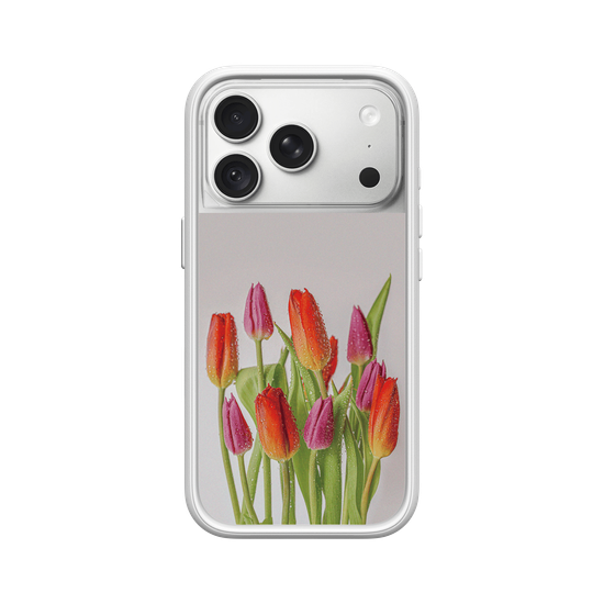Tulips 鬱金香