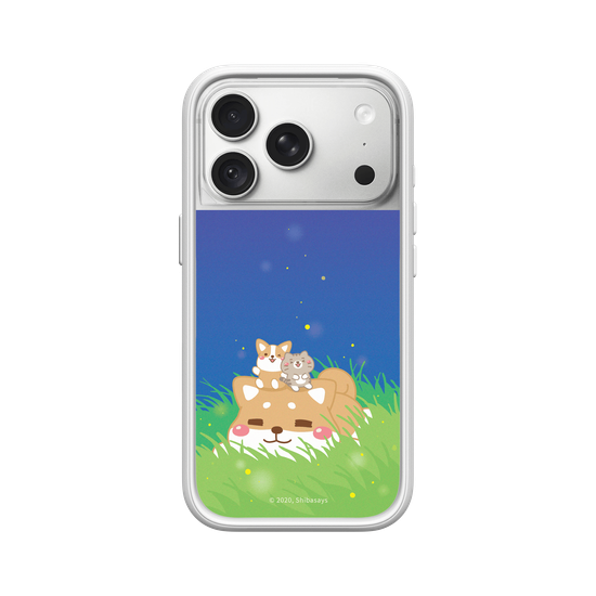 Shiba on the Field