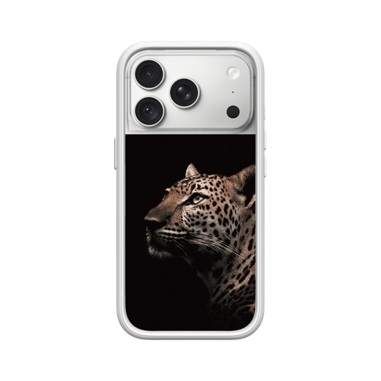 Indochinese Leopard