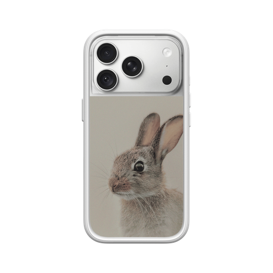 European rabbit