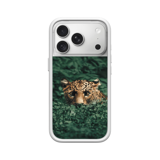 Leopard in the Jungle