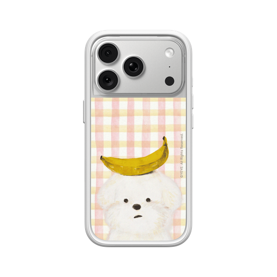 Dialogue of Yellow and White
