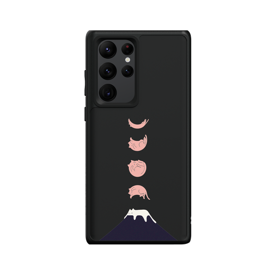 Cat Landscape - Phases of the Moon