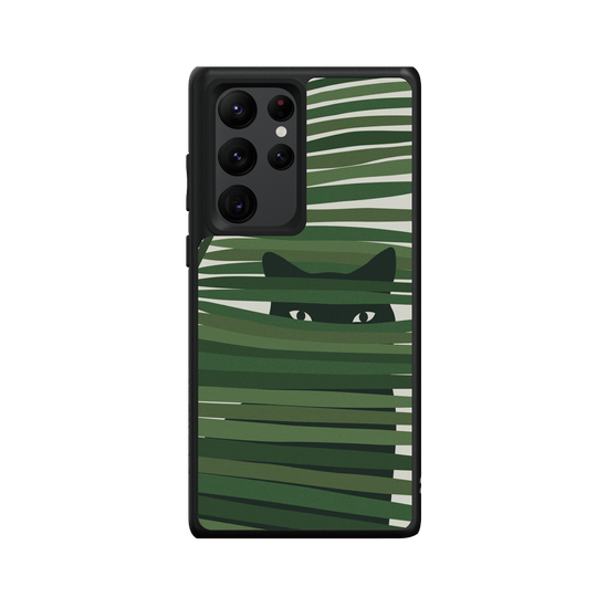 Peek A Paw