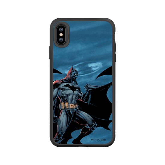 Batman - Bat in the night
