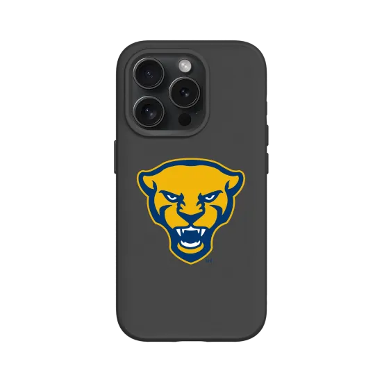 pitt panthers
