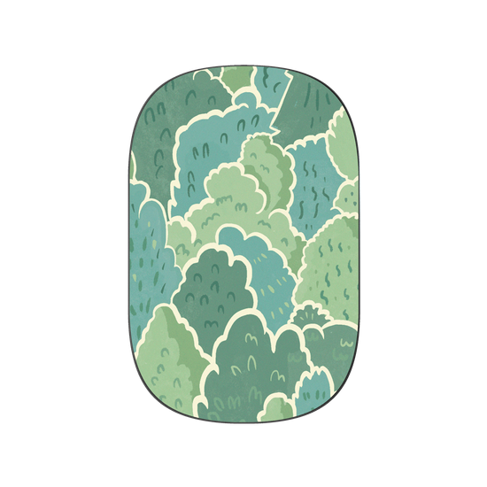 Calm Forest
