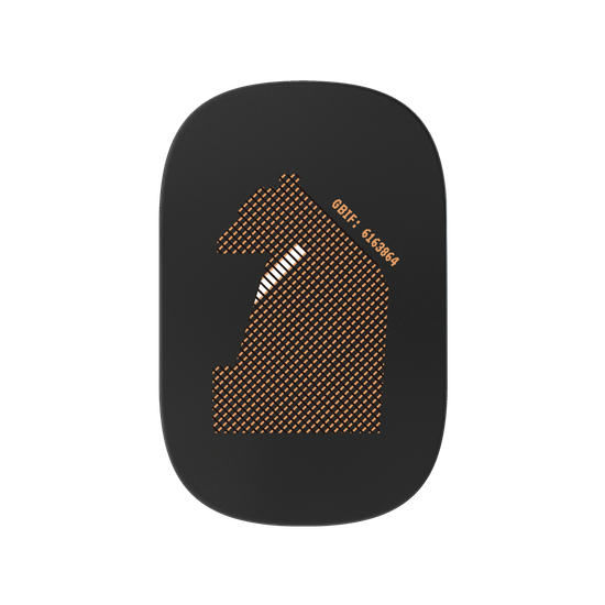 Formosan Black Bear