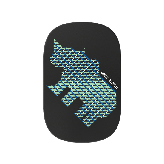 Black Rhinoceros