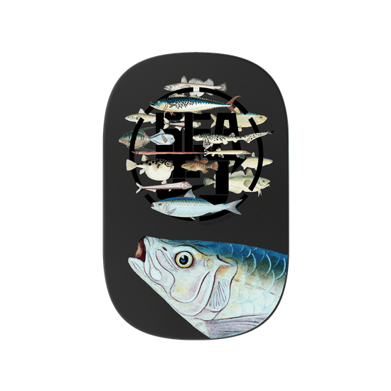魚群海釣