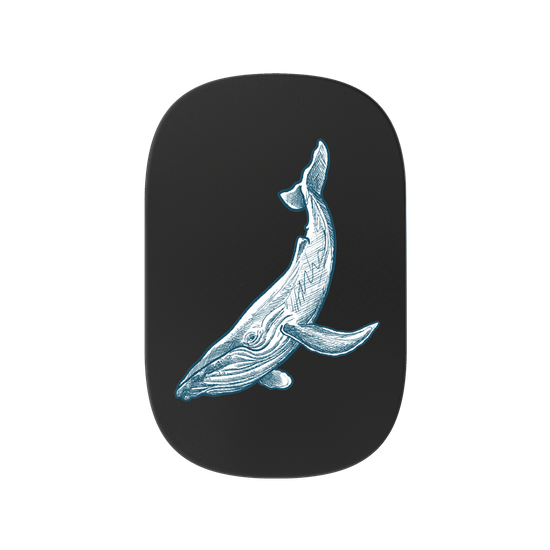 BLUE WHALE