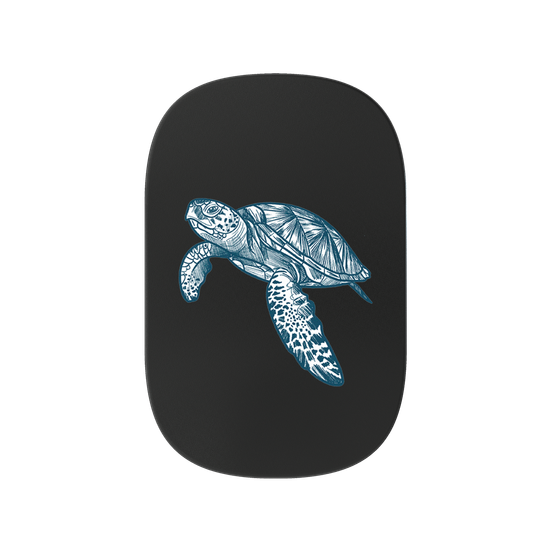 BLUE TURTLE
