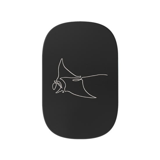 RAY