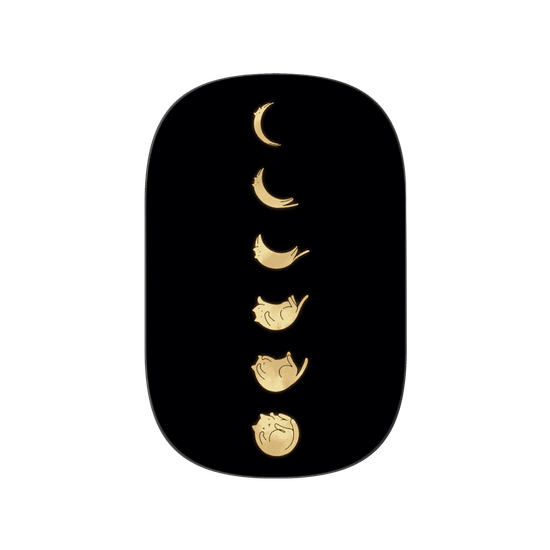 Cat Landscape - Cat Phases Black