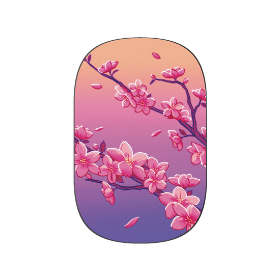 Cherry Blossom