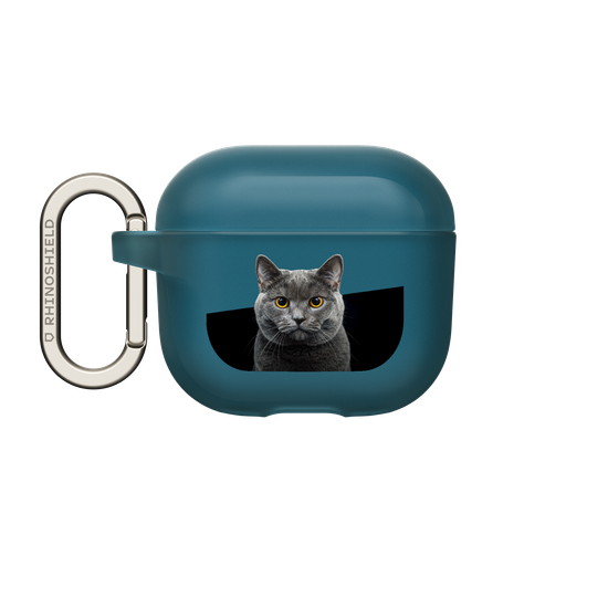 Grey Cat