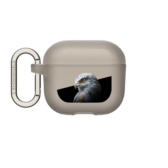 Black Kite