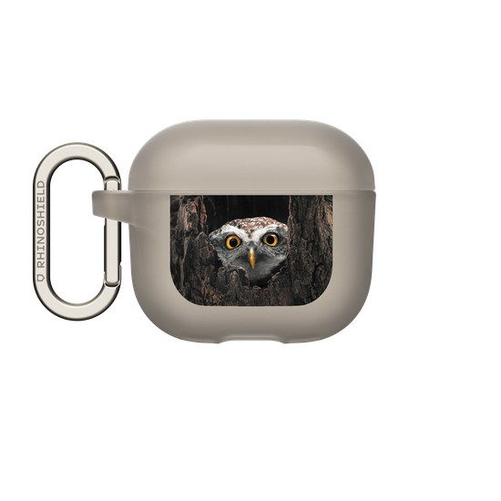 Owl in Tree