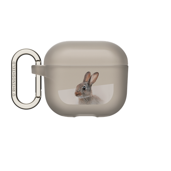 European Rabbit