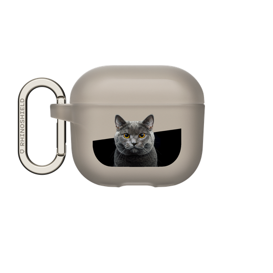 Grey Cat
